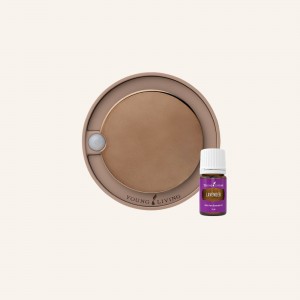 Ignite Wall Plug Diffuser 壁掛式夜燈擴香機